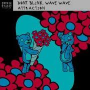 Dont Blink Wave Wave Attraction Extended Mix