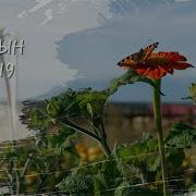 Сайыҥҥы Ырыа