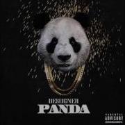 Panda Instrumental