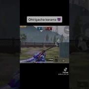 Boylab Sikay