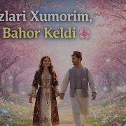 Ey Ko Zlari Xumorim Kelgin Bahor Keldi
