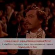 Кузина Бетта