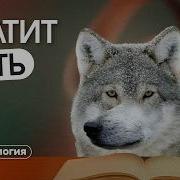 Страдания