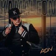 No No No Kamaleon