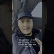Люди Вы Же Хуже Зверей