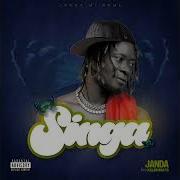Janda Singa