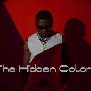 The Hidden Colors Atp