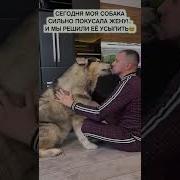 Service Секс Мужа С Животными