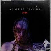 Slipknot We Are Not Your Kind