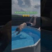 Https Yandex Ru Video Preview 1226158353513164685