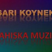 Сари Койнек
