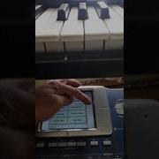 Korg Pa 800 Uzbek Set