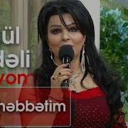 Tergul Berdeli Segah