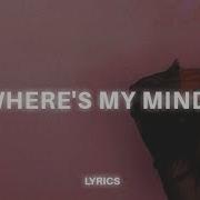 I Lost My Mind Tiktok