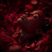 Like A Fever Melodic Afrohouse