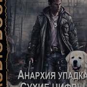 Анархия Упадка