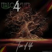 Italo4Ever Tree Of Live