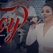Zeyneb Heseni Toy Eyle