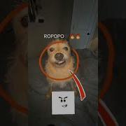 Ропопоп