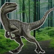 Animal Transformation Audio