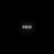 Miui Startup