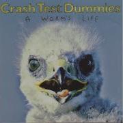 Crash Test Drummies A Worms Livee