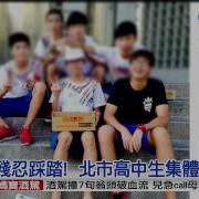 虐龟