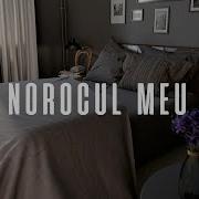 Norocul Meu Mu Luck