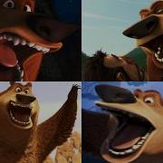 Open Season Boog Scream