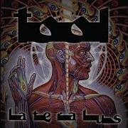 Tool Lateralus The Grudge