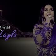 Лаило Лаило