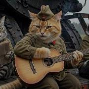 Коты Жгут