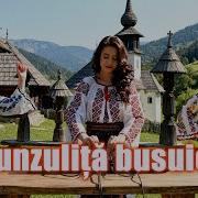 Busuioc Verde N Ungeri Remics