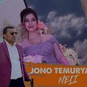 Nelli Jono Temuryan