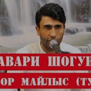 Туёна Хиквор