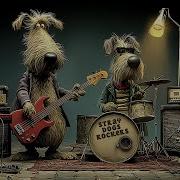 Soft Rock Hits Stray Dogs