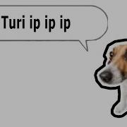 Ип Ип Ип