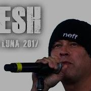 Mesh Live Concert
