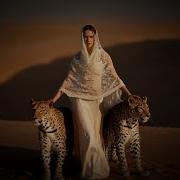 Desert Rain Omer Bukulmezoglu