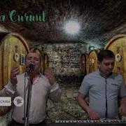 Covit19 Formatia Curnuti Mp3
