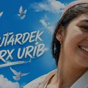 Dj Zuxa X Dj Tab Kabutardek Charx Urib Afro Mp 3