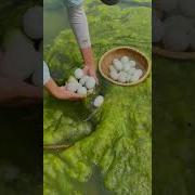 It S Only On Youtube For Now