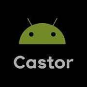 Castor Notification Sound