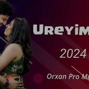 Sevgi Mahnilari 2024