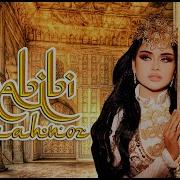 Farahnoz Habibi