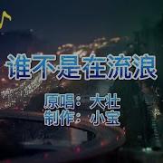 谁不是在流浪