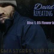 David Scott Full Album