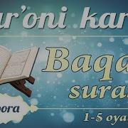 Baqara Surasi 5 Oyat