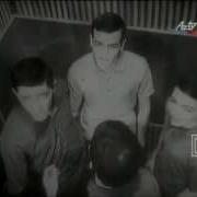 Qaya Qrupu