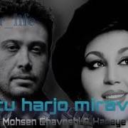 Mohsen Chavoshi Be Tu Харе Меравам